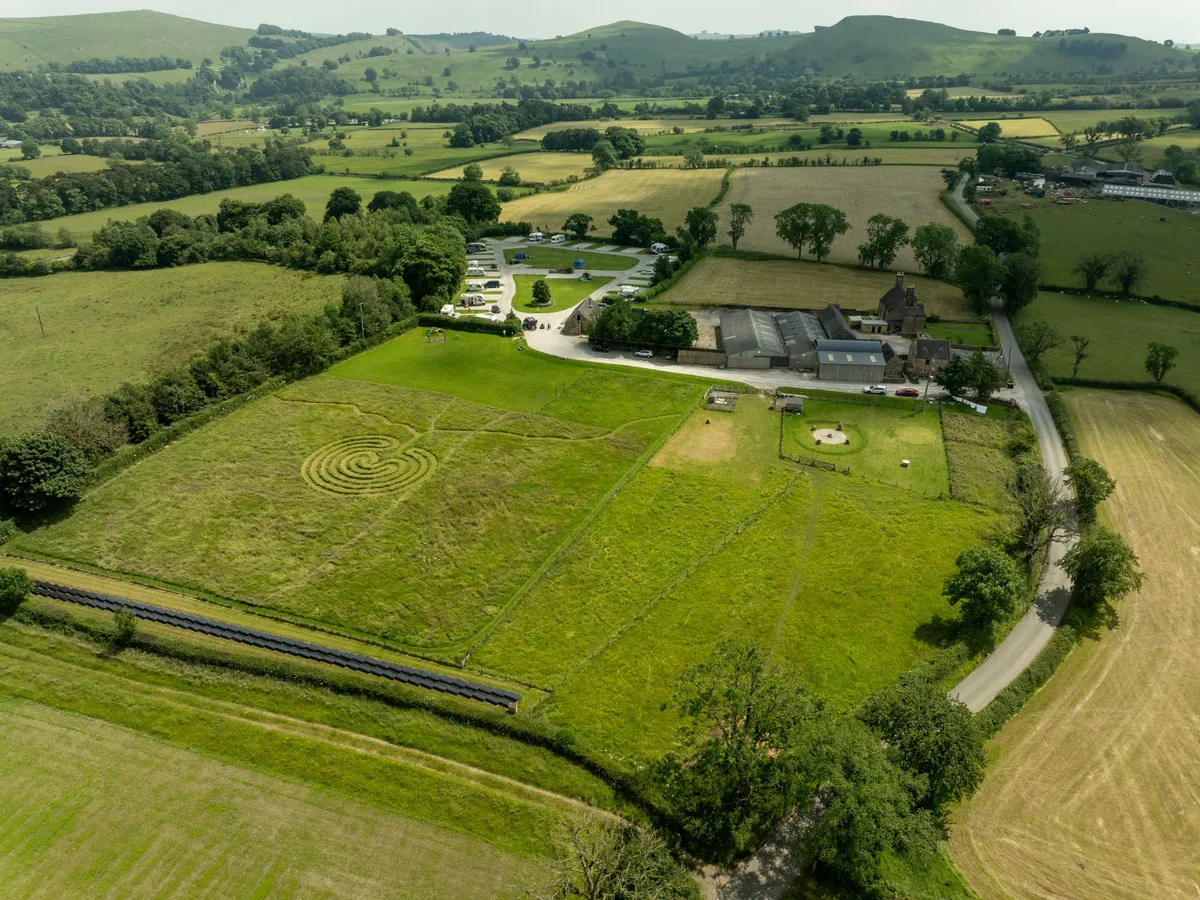 Aerial view of dog walking field